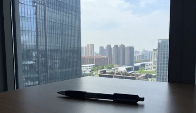 项目咨询中的全流程跟进适用情况与限制